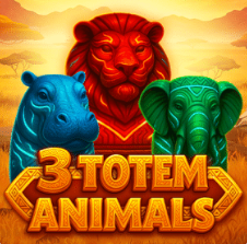 Popular slot game 14